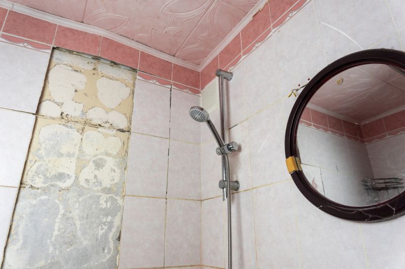 Top Shower Remodeling Companies in Dickinson, TX